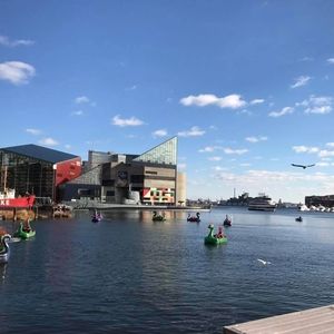 Meet your Posher, Kree